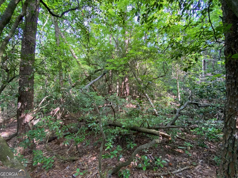 0 Sara LN Sautee Nacoochee, GA 30571