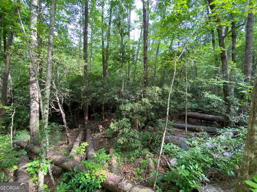 0 Sara LN Sautee Nacoochee, GA 30571