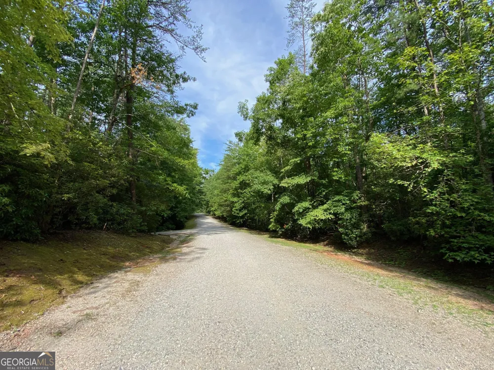 0 Sara LN Sautee Nacoochee, GA 30571