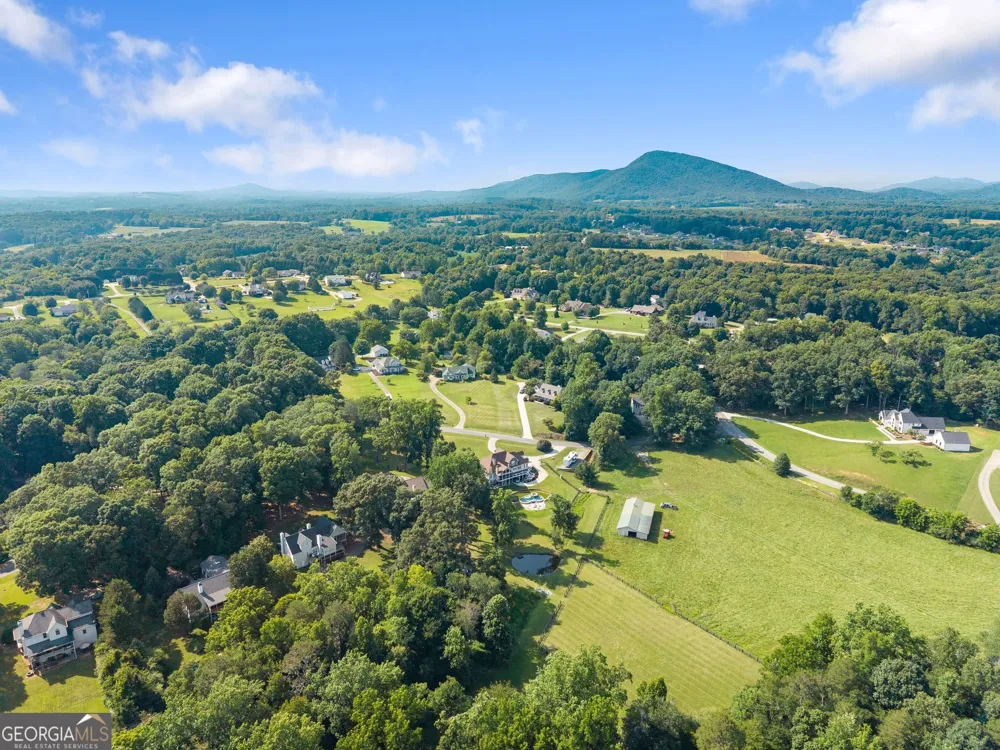 5825 Sweetbottom LN Clermont, GA 30527