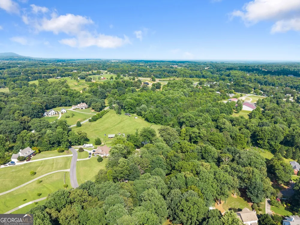 5825 Sweetbottom LN Clermont, GA 30527