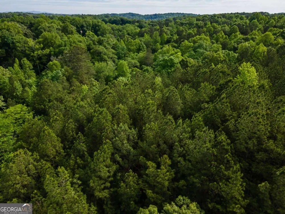 4.5 AC Hickory Flat HWY Woodstock, GA 30188