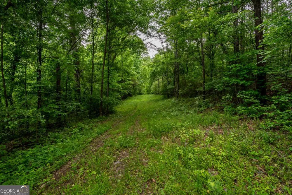 4.5 AC Hickory Flat HWY Woodstock, GA 30188