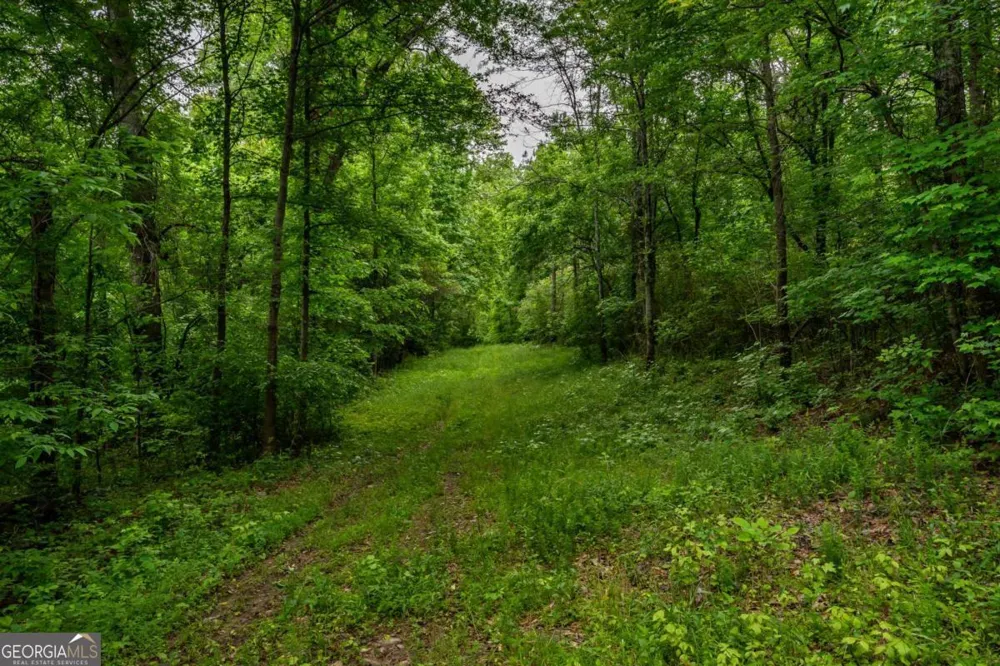 4.5 AC Hickory Flat HWY Woodstock, GA 30188