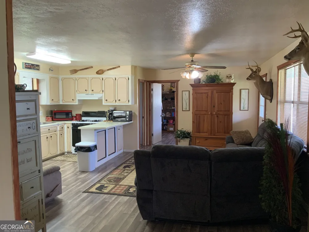 187 Bierce DR Young Harris, GA 30582