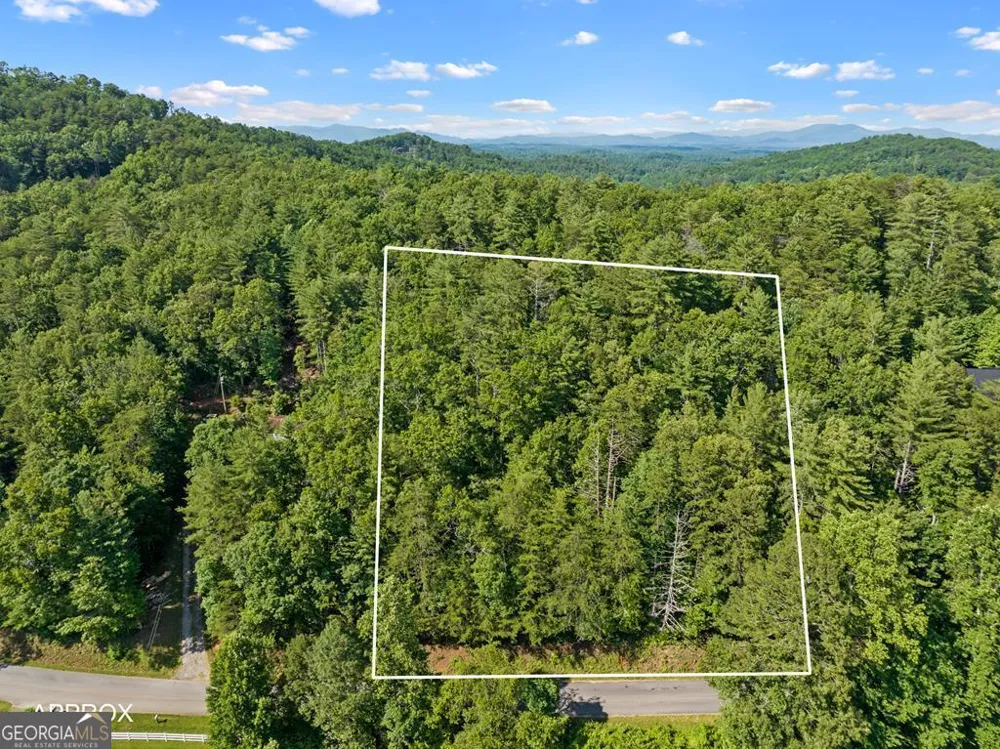 2 AC Ritchie Creek RD Blue Ridge, GA 30513