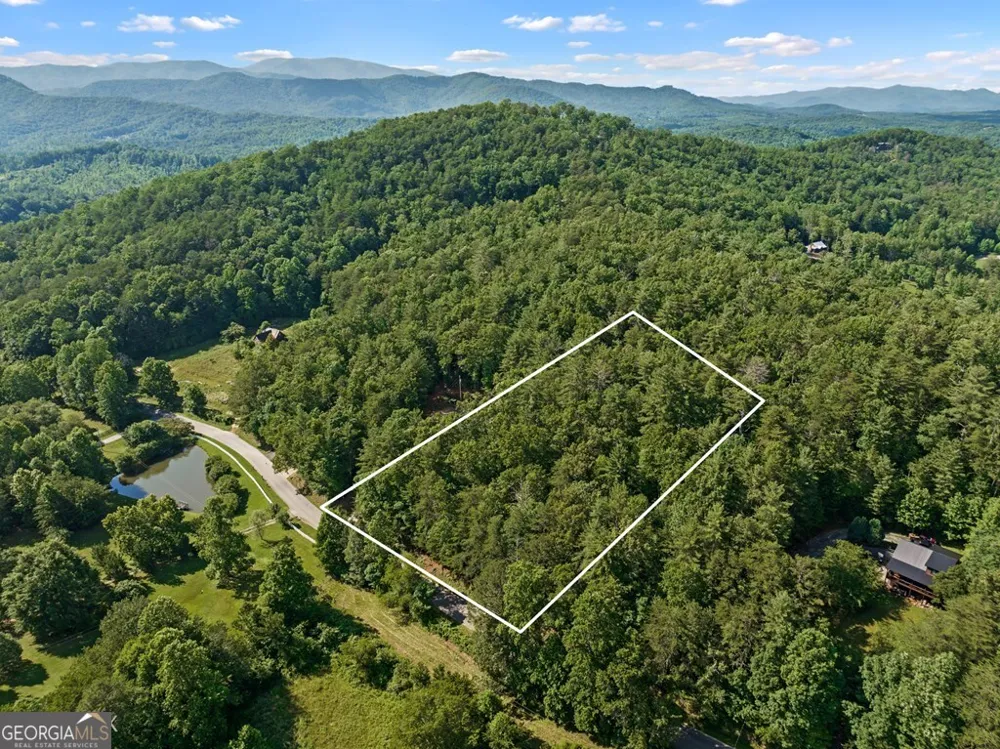 2 AC Ritchie Creek RD Blue Ridge, GA 30513