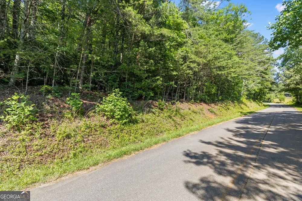2 AC Ritchie Creek RD Blue Ridge, GA 30513