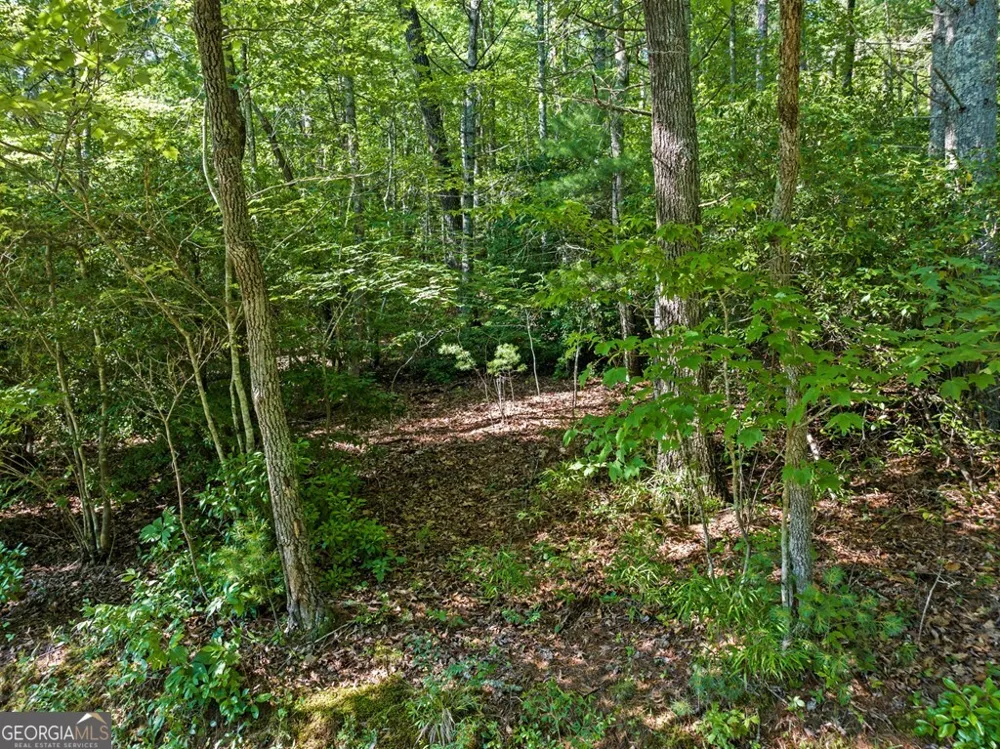 2 AC Ritchie Creek RD Blue Ridge, GA 30513