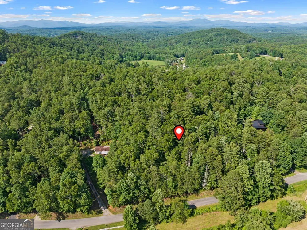 2 AC Ritchie Creek RD Blue Ridge, GA 30513