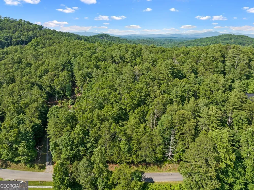 2 AC Ritchie Creek RD Blue Ridge, GA 30513