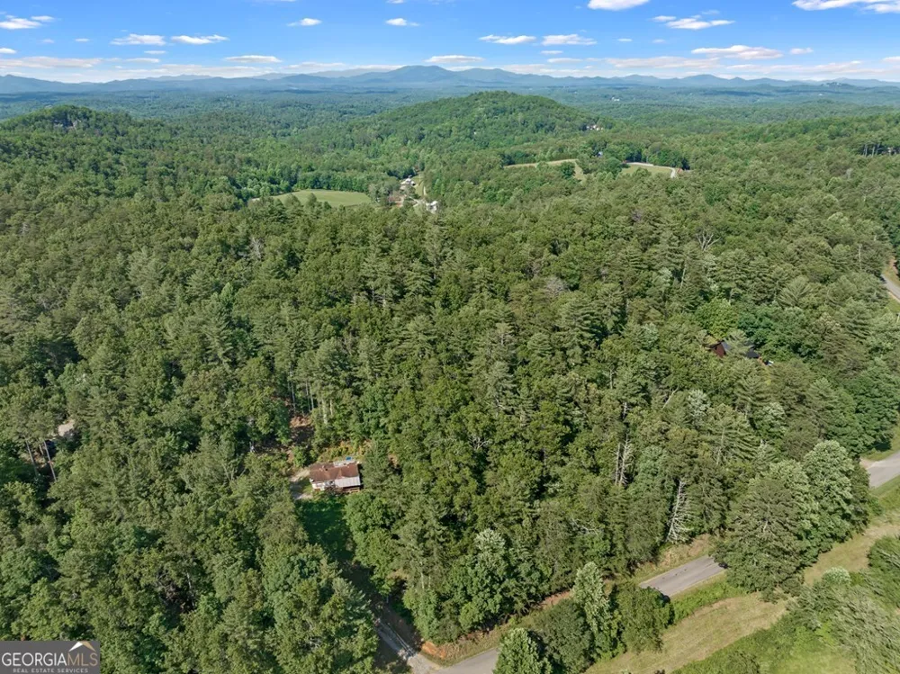 2 AC Ritchie Creek RD Blue Ridge, GA 30513