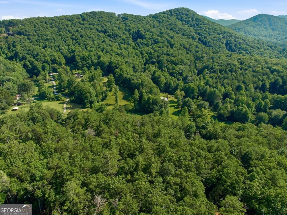 2 AC Ritchie Creek RD Blue Ridge, GA 30513