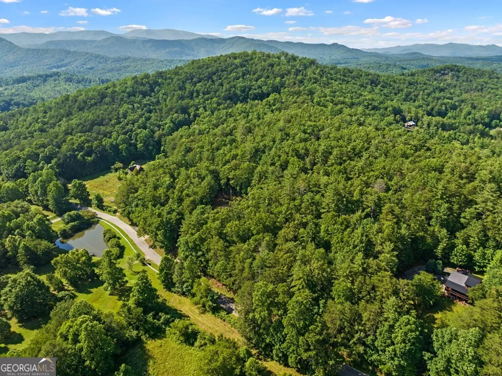 2 AC Ritchie Creek RD Blue Ridge, GA 30513