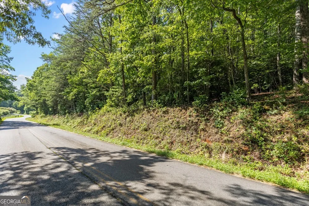 2 AC Ritchie Creek RD Blue Ridge, GA 30513