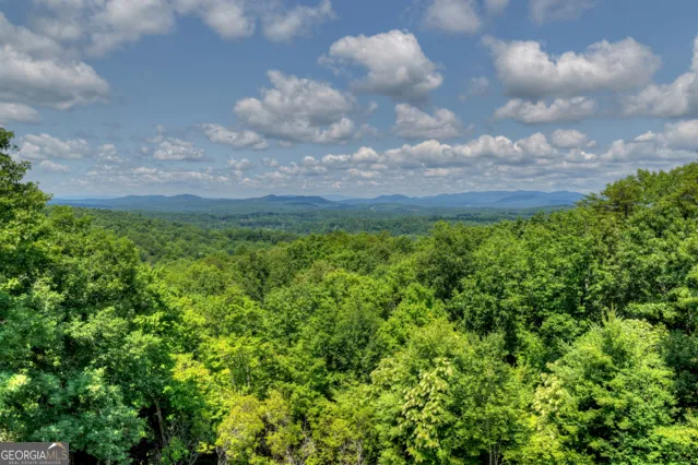 46 Sequoya TRL Blairsville, GA 30512