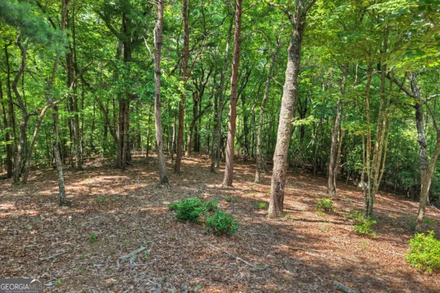 46 Sequoya TRL Blairsville, GA 30512