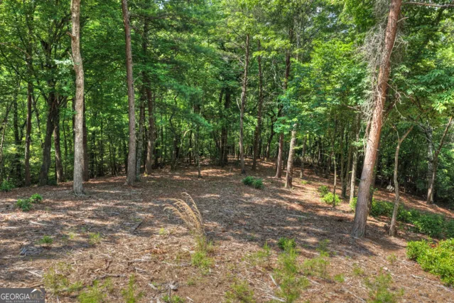 46 Sequoya TRL Blairsville, GA 30512