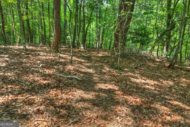 46 Sequoya TRL Blairsville, GA 30512