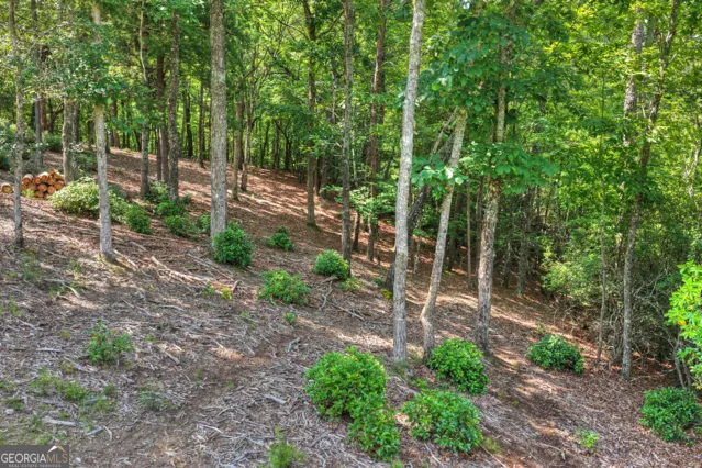 46 Sequoya TRL Blairsville, GA 30512