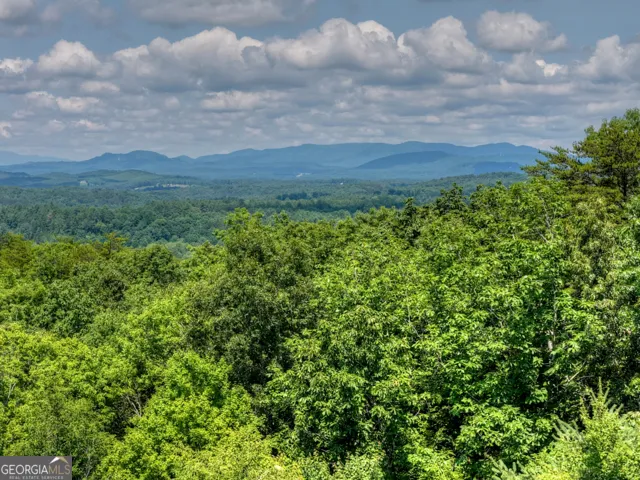 46 Sequoya TRL Blairsville, GA 30512