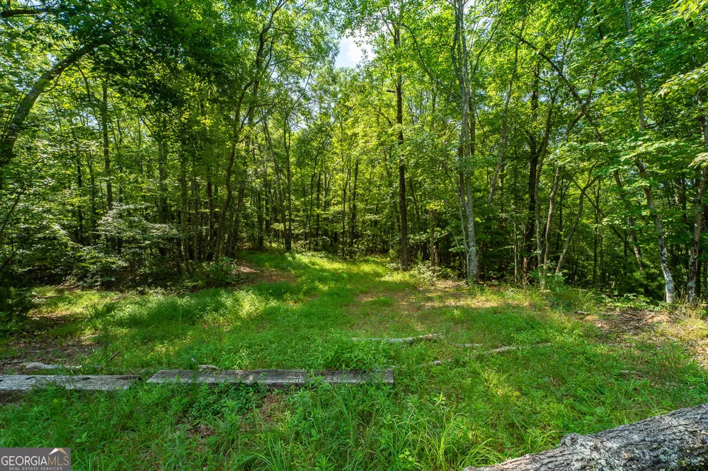TR 1&2 Blue Arrow LN Mineral Bluff, GA 30559