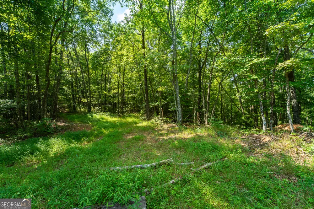 TR 1&2 Blue Arrow LN Mineral Bluff, GA 30559