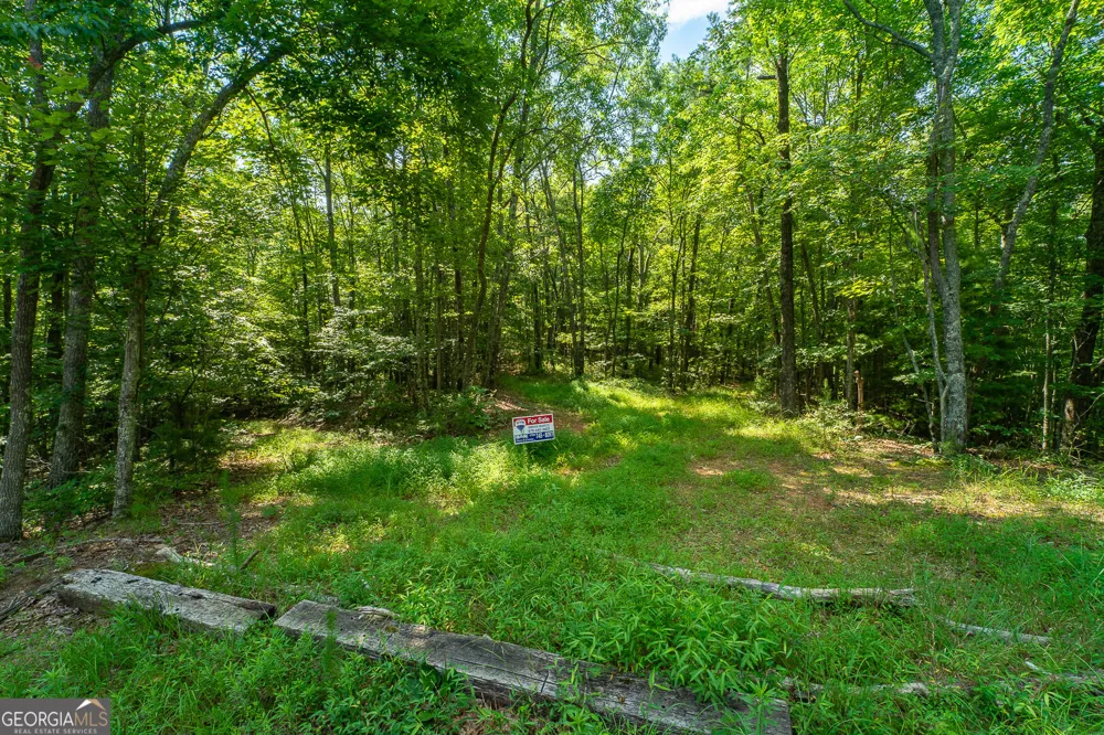 TR 1&2 Blue Arrow LN Mineral Bluff, GA 30559