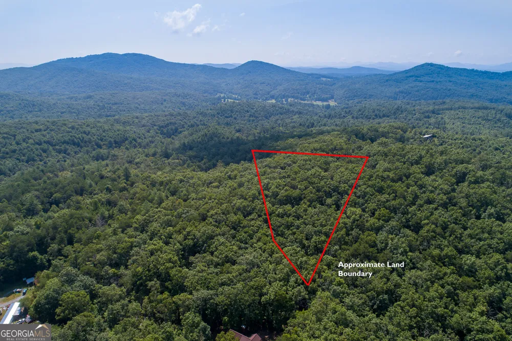 TR 1&2 Blue Arrow LN Mineral Bluff, GA 30559