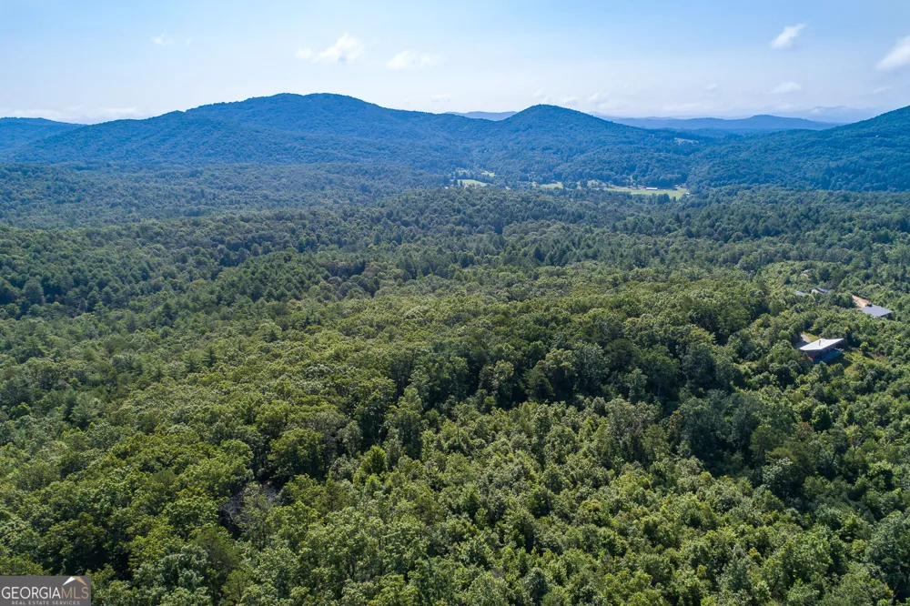 TR 1&2 Blue Arrow LN Mineral Bluff, GA 30559