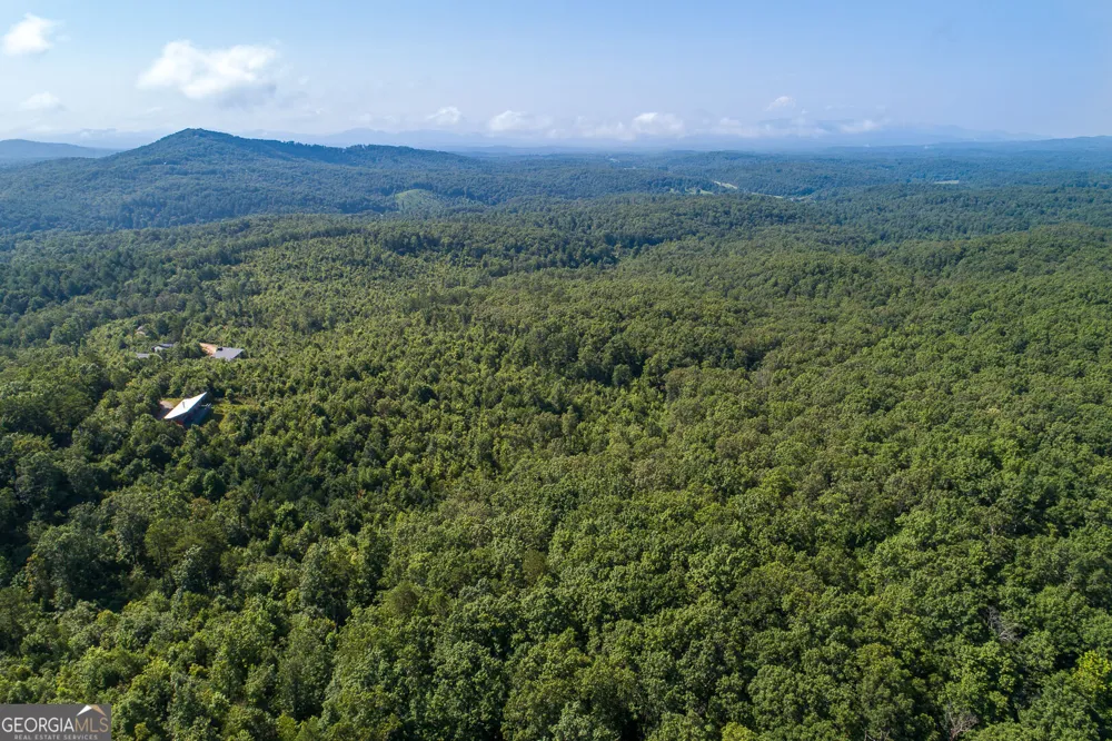 TR 1&2 Blue Arrow LN Mineral Bluff, GA 30559