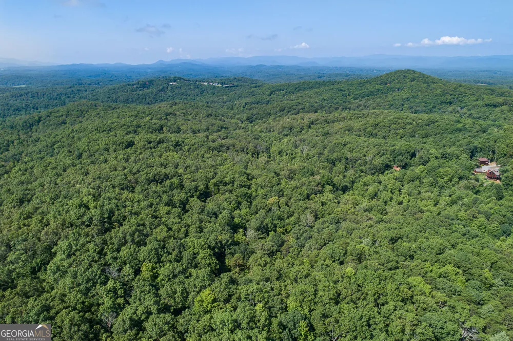 TR 1&2 Blue Arrow LN Mineral Bluff, GA 30559