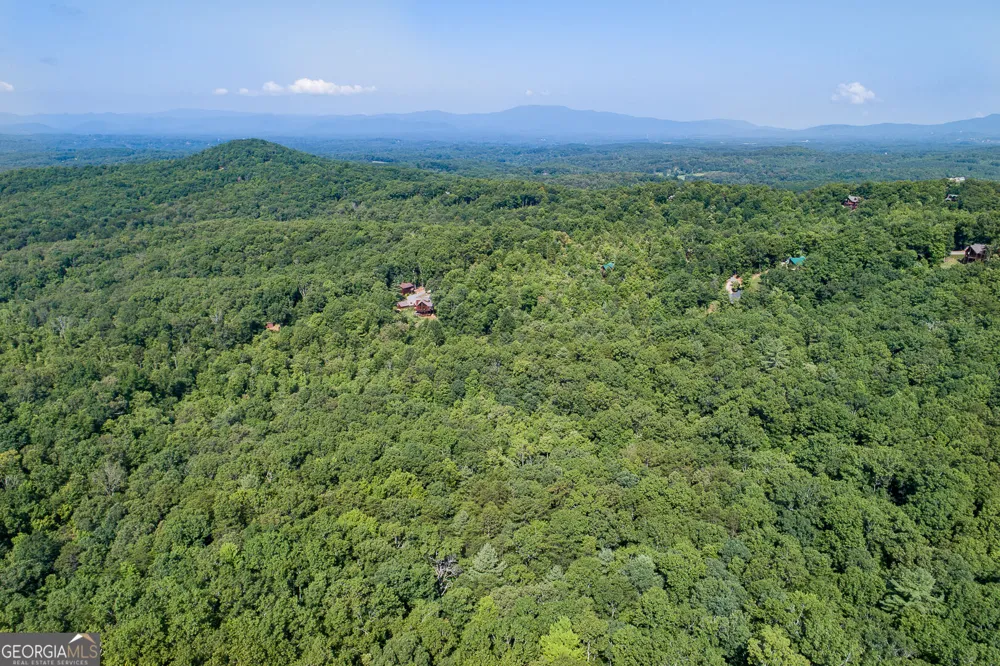 TR 1&2 Blue Arrow LN Mineral Bluff, GA 30559