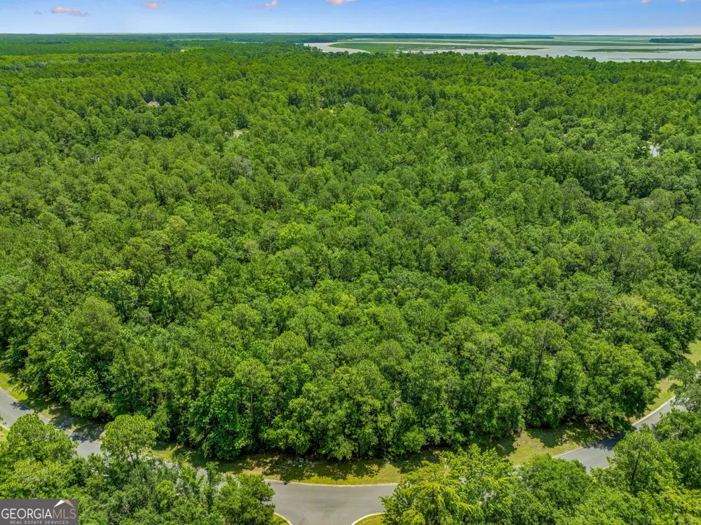 V/L 23 Lighthouse CIR Woodbine, GA 31569