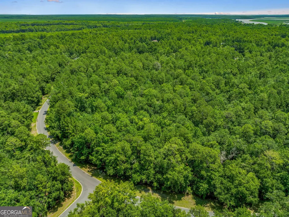 V/L 23 Lighthouse CIR Woodbine, GA 31569