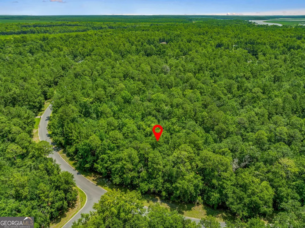 V/L 23 Lighthouse CIR Woodbine, GA 31569