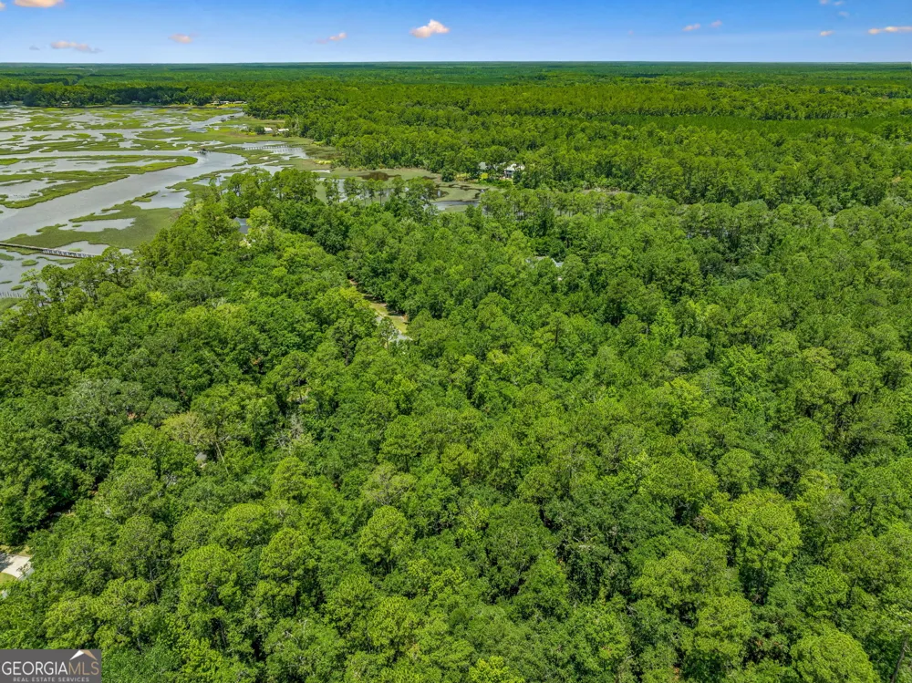 V/L 23 Lighthouse CIR Woodbine, GA 31569