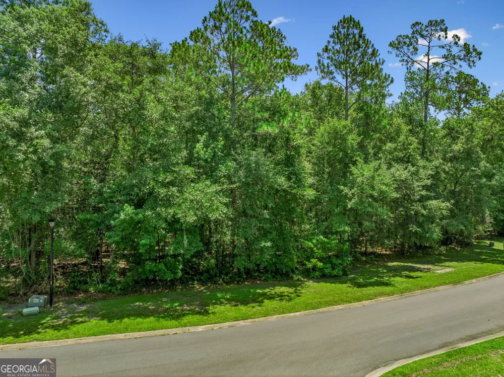 V/L 23 Lighthouse CIR Woodbine, GA 31569