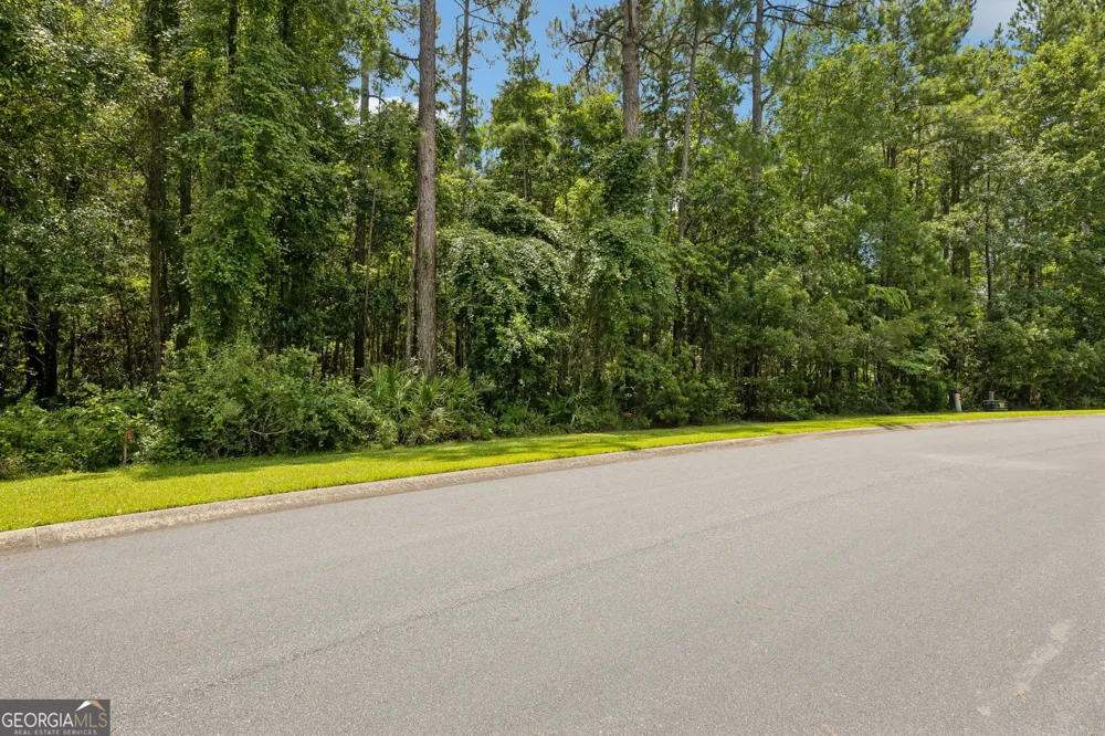 V/L 185 Sunrise DR Woodbine, GA 31569
