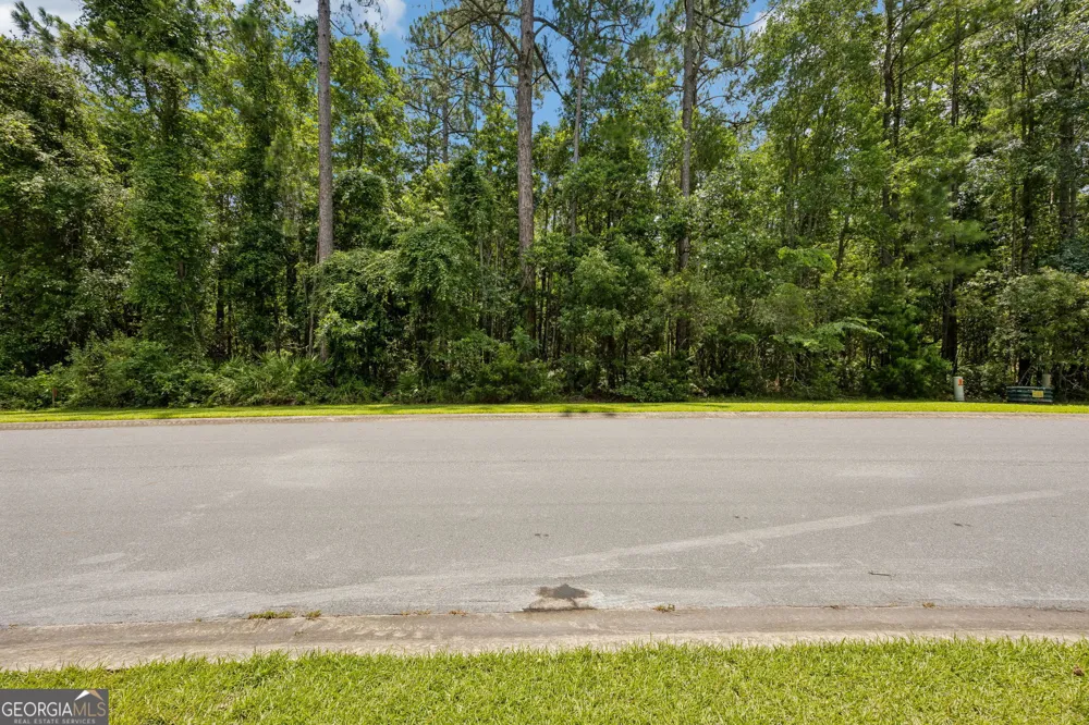 V/L 185 Sunrise DR Woodbine, GA 31569
