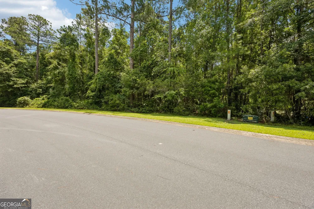 V/L 185 Sunrise DR Woodbine, GA 31569