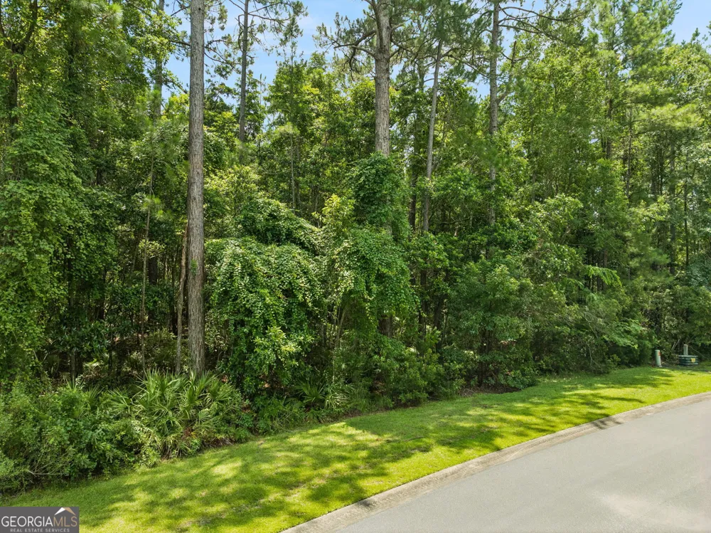 V/L 185 Sunrise DR Woodbine, GA 31569