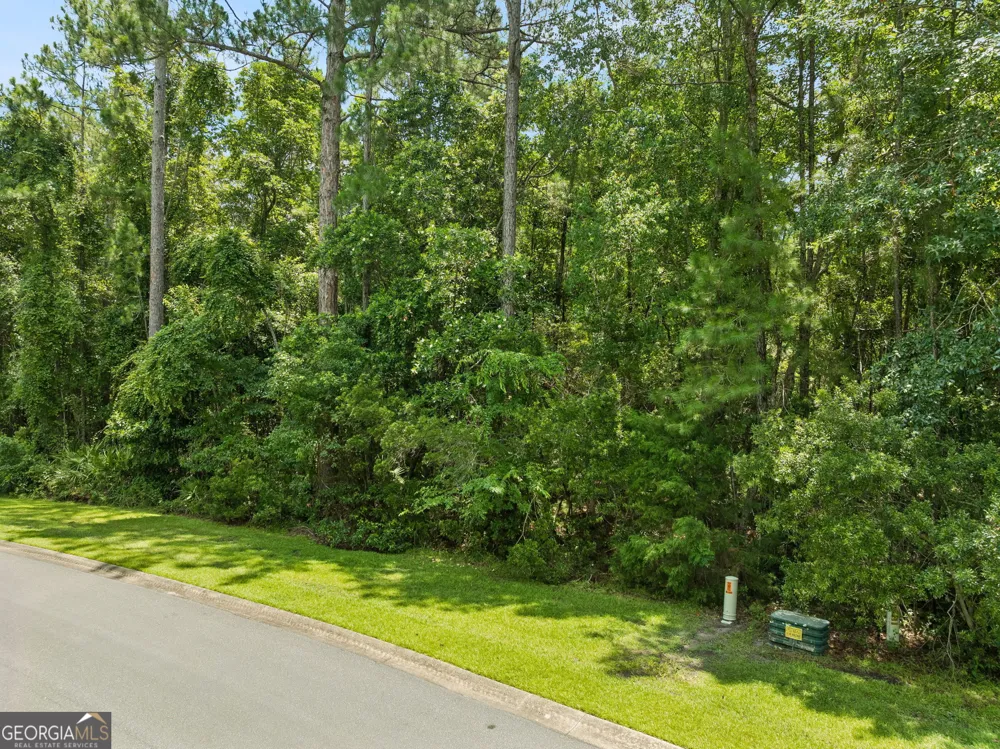 V/L 185 Sunrise DR Woodbine, GA 31569