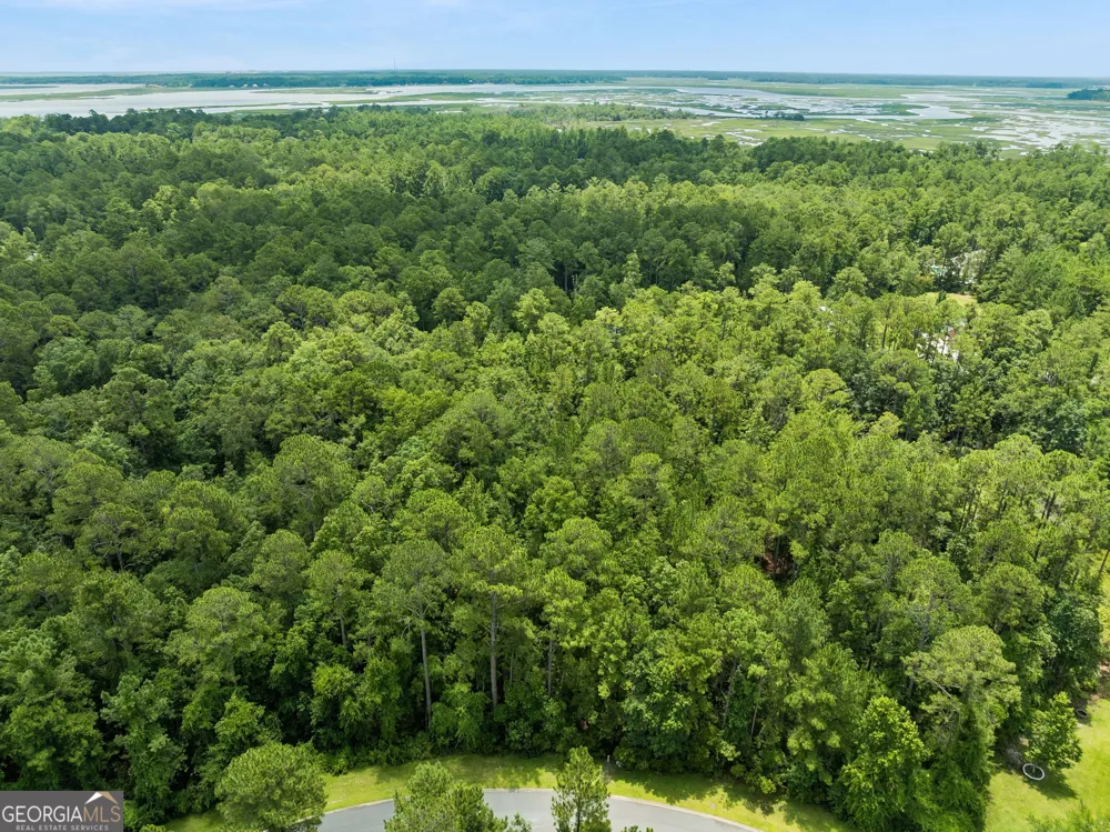 V/L 185 Sunrise DR Woodbine, GA 31569