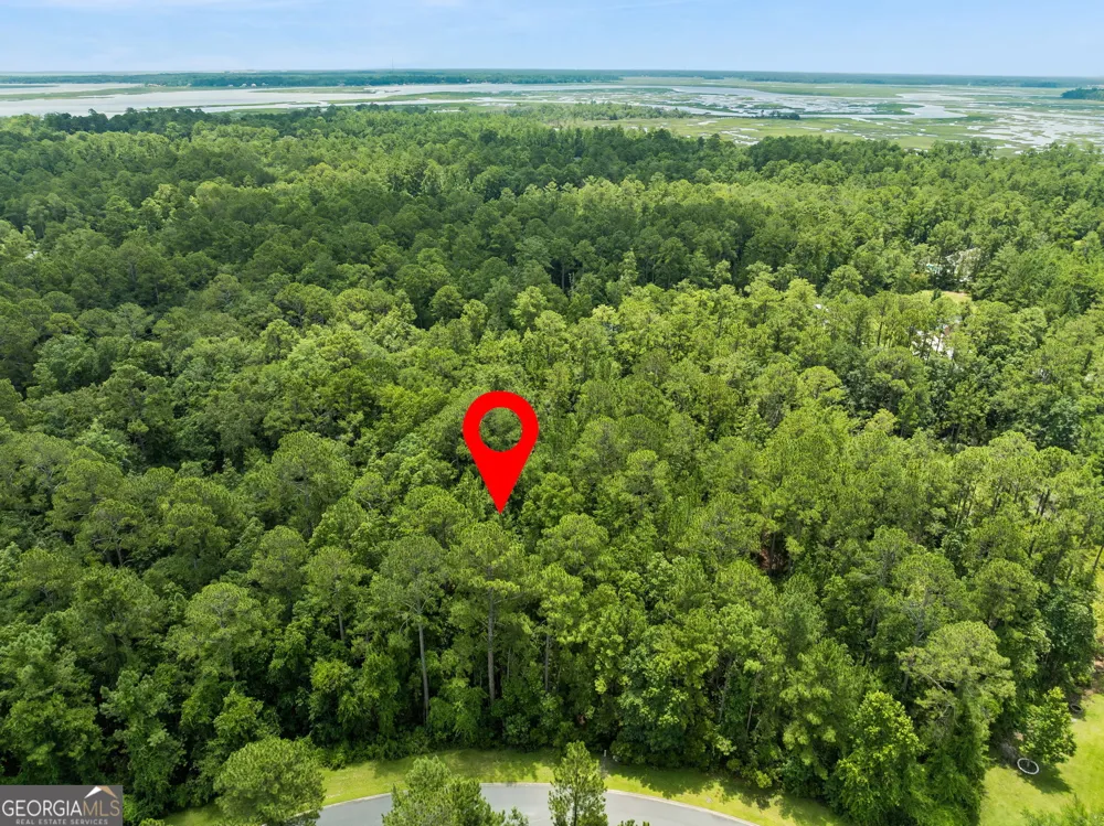 V/L 185 Sunrise DR Woodbine, GA 31569
