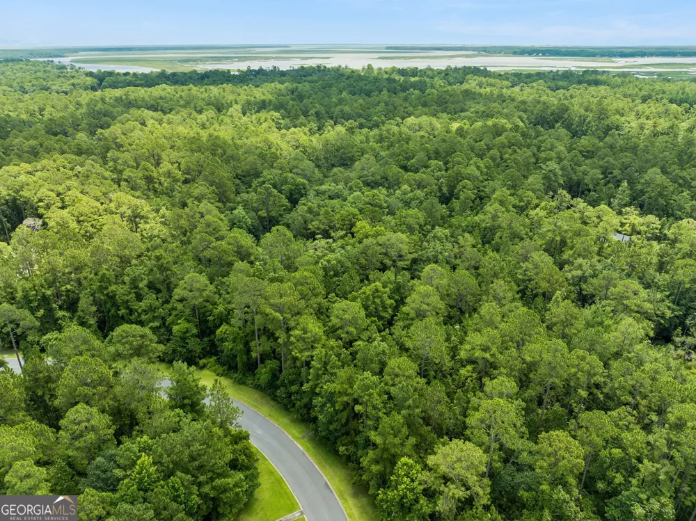 V/L 185 Sunrise DR Woodbine, GA 31569