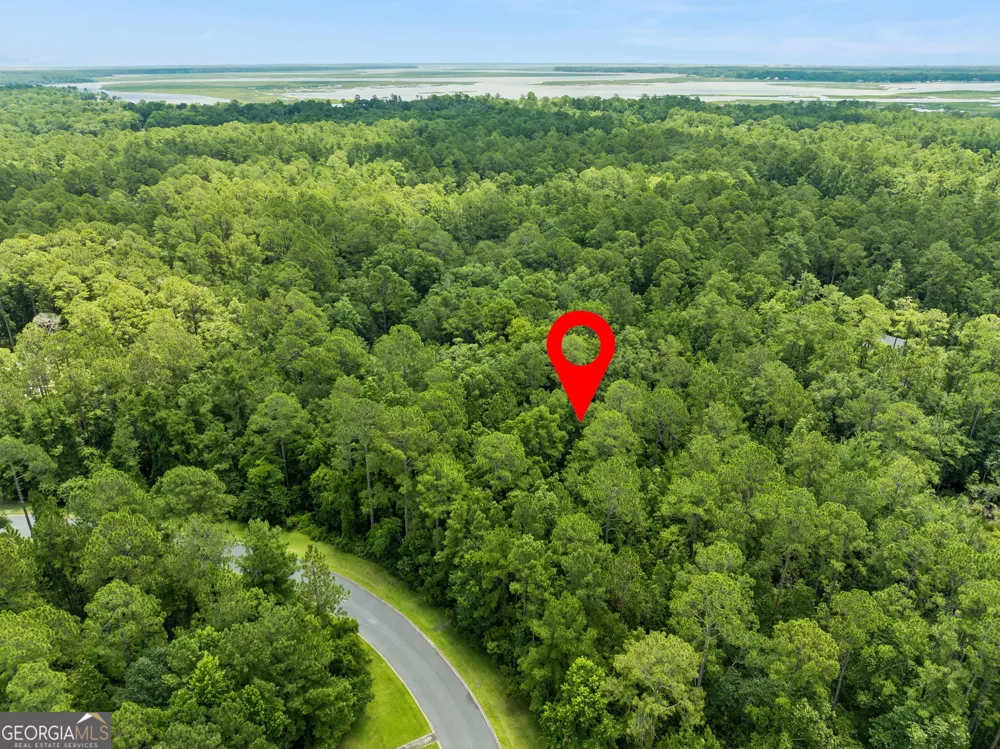 V/L 185 Sunrise DR Woodbine, GA 31569