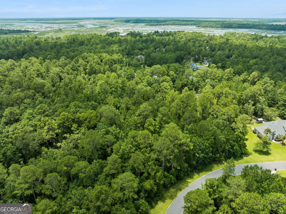 V/L 185 Sunrise DR Woodbine, GA 31569
