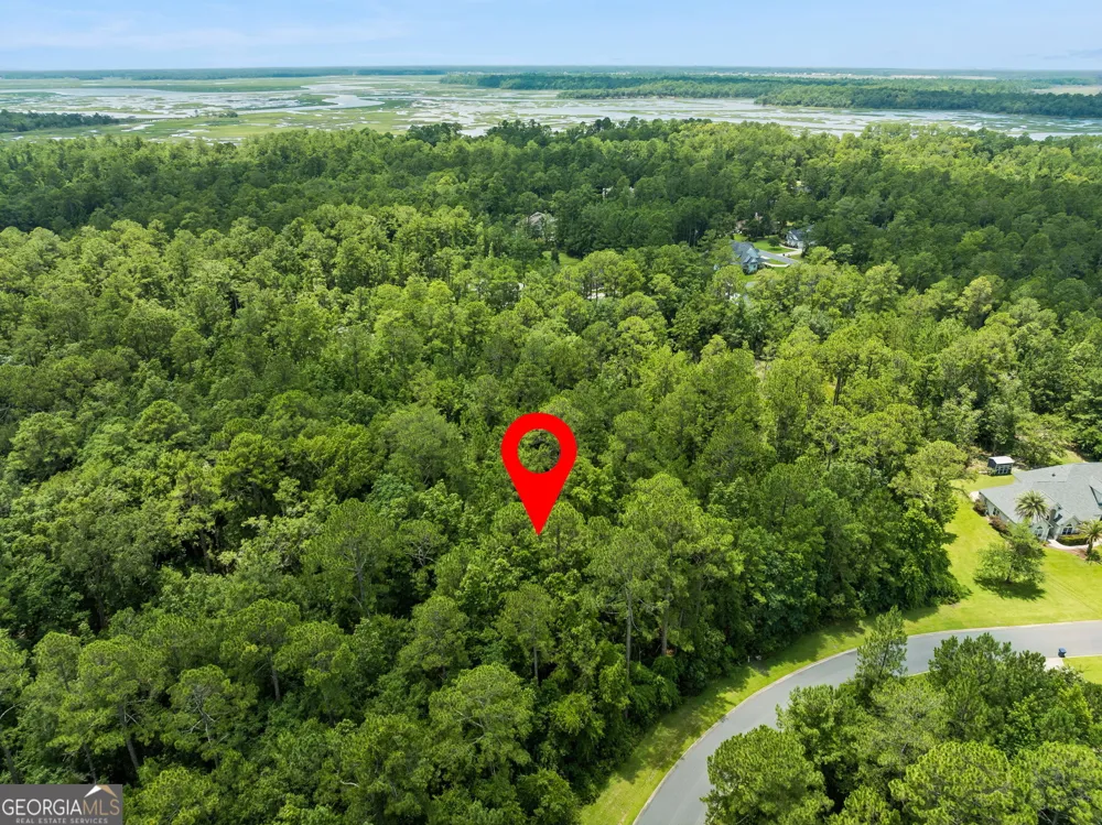 V/L 185 Sunrise DR Woodbine, GA 31569