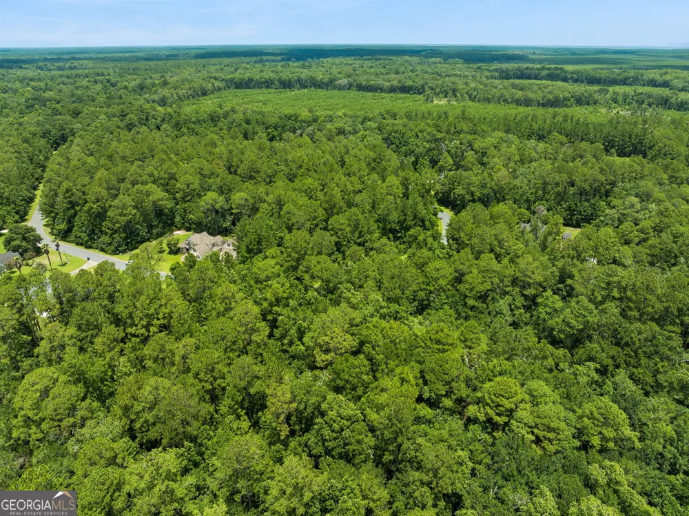 V/L 185 Sunrise DR Woodbine, GA 31569